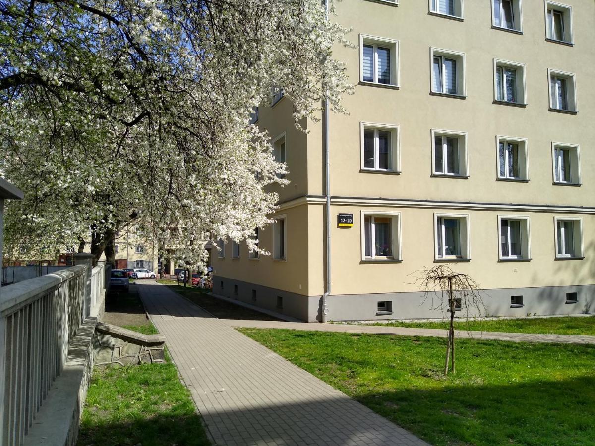 Apartment Bluebird Katowice Near Spodek Mck & City Center Dış mekan fotoğraf